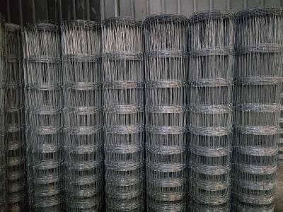 纏繞牛欄網(wǎng) 