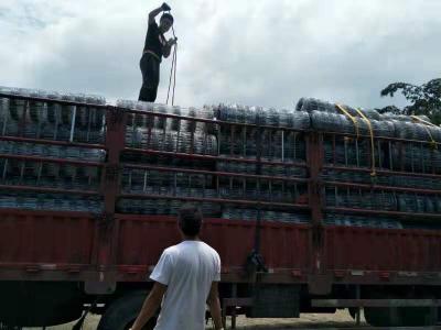 圈牛鐵絲網(wǎng) 欄牛網(wǎng)